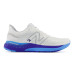 Чоловічі кросівки New Balance FreshFoam 880 Чоловічі кросівки New Balance FreshFoam 880